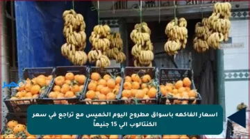 أسعار الفاكهة بأسواق مطروح اليوم الخميس مع تراجع في سعر الكنتالوب إلى 15 جنيهاً